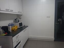 Blk 1D The Pinnacle@Duxton (Bukit Merah), HDB 4 Rooms #401513671